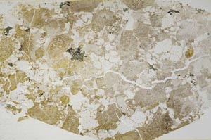 Plane Polarized, S57491