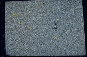 Cross Polarized, S57496