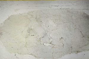 Plane Polarized, S57531