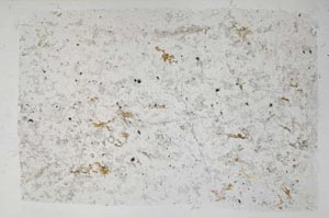 Plane Polarized, S57535