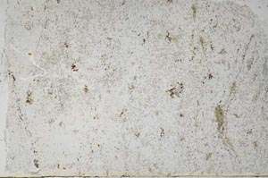 Plane Polarized, S57536