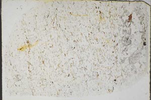 Plane Polarized, S57537
