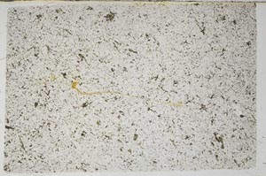 Plane Polarized, S57540