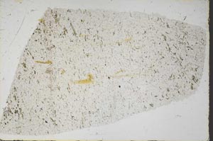 Plane Polarized, S57545