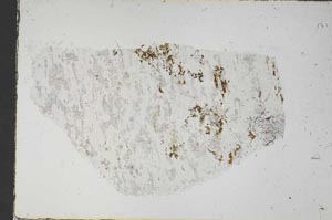 Plane Polarized, S57547