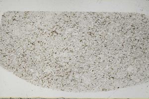 Plane Polarized, S57551