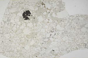 Plane Polarized, S57560
