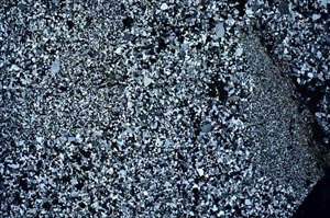 Cross Polarized, S57562