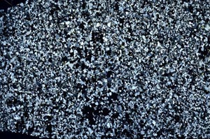 Cross Polarized, S57569