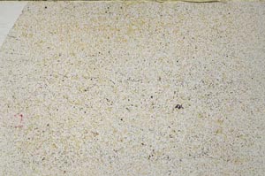 Plane Polarized, S57571