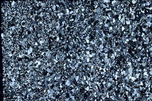 Cross Polarized, S57584