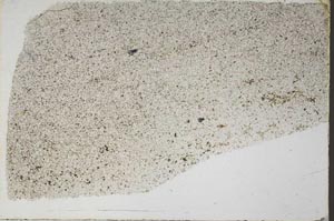 Plane Polarized, S57595