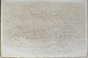 Plane Polarized, S57596