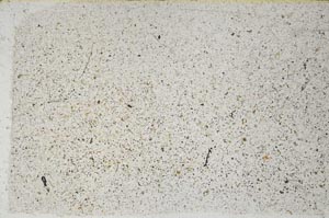 Plane Polarized, S57599