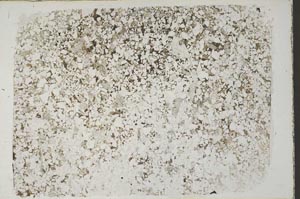 Plane Polarized, S57602