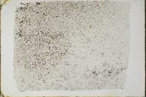 Plane Polarized, S57606