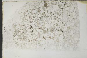 Plane Polarized, S57607