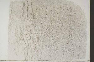 Plane Polarized, S57609