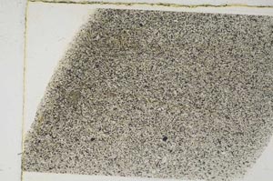 Plane Polarized, S57613