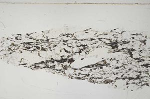 Plane Polarized, S57617