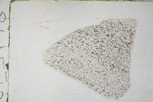 Plane Polarized, S57618
