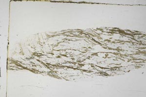 Plane Polarized, S57642