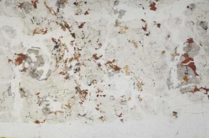 Plane Polarized, S57696