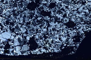 Cross Polarized, S57702