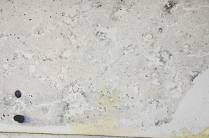 Plane Polarized, S57702