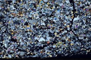 Cross Polarized, S57705