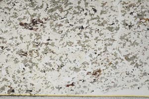 Plane Polarized, S57705