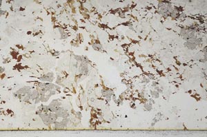 Plane Polarized, S57706