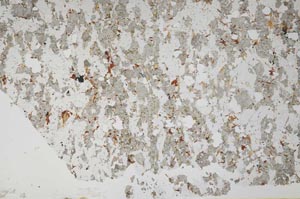 Plane Polarized, S57709