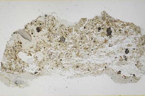 Plane Polarized, S57710