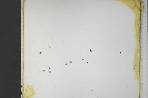 Plane Polarized, S57710/A