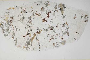 Plane Polarized, S57710/C