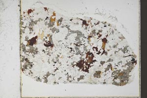 Plane Polarized, S57710/D