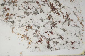 Plane Polarized, S57711