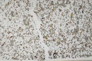 Plane Polarized, S57713