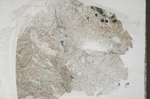 Plane Polarized, S57733/A