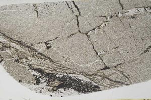 Plane Polarized, S57757