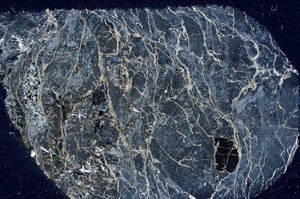 Cross Polarized, S57763