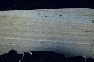 Cross Polarized, S57790