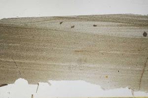 Plane Polarized, S57790
