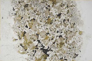 Plane Polarized, S57792