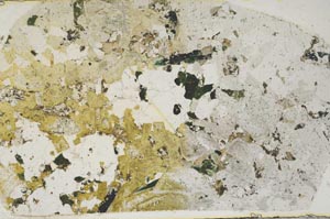 Plane Polarized, S57798