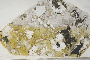 Plane Polarized, S57800