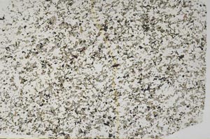 Plane Polarized, S57803