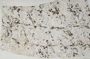 Plane Polarized, S57804