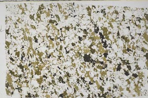 Plane Polarized, S57806/A